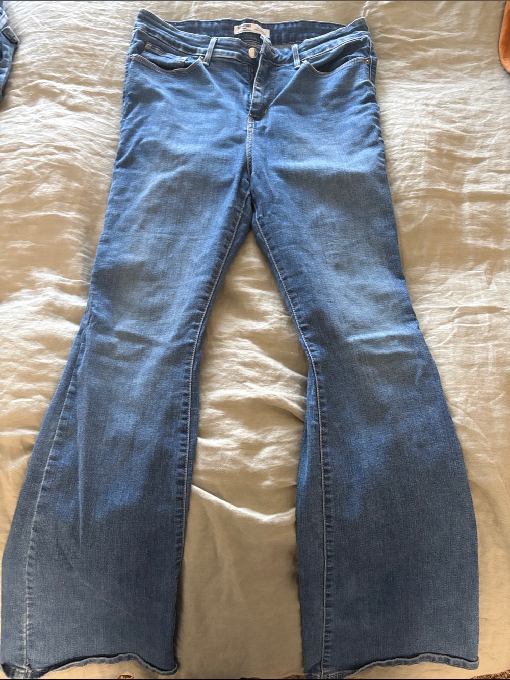 Signature by Levi Strauss Medium Blue Flare Jeans